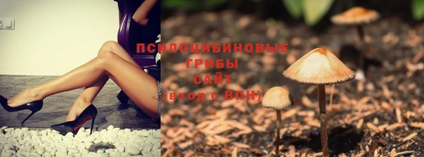 альфа пвп Новозыбков