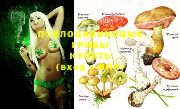 гашиш Новокубанск