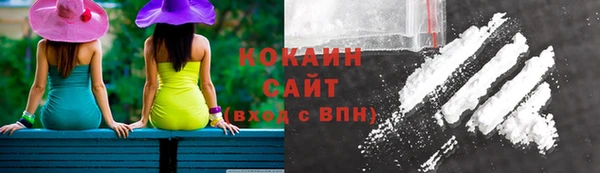 первитин Новодвинск