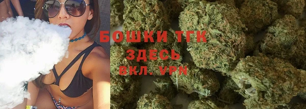 первитин Новодвинск