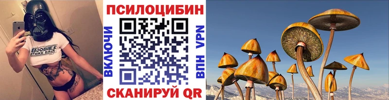 как найти наркотики  Усть-Лабинск  Псилоцибиновые грибы прущие грибы 