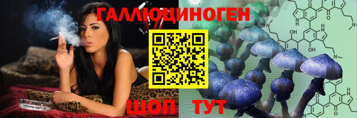 Галлюциногенные грибы GOLDEN TEACHER  где продают наркотики  Псилоцибиновые грибы GOLDEN TEACHER  Усть-Лабинск  Вход с VPN 