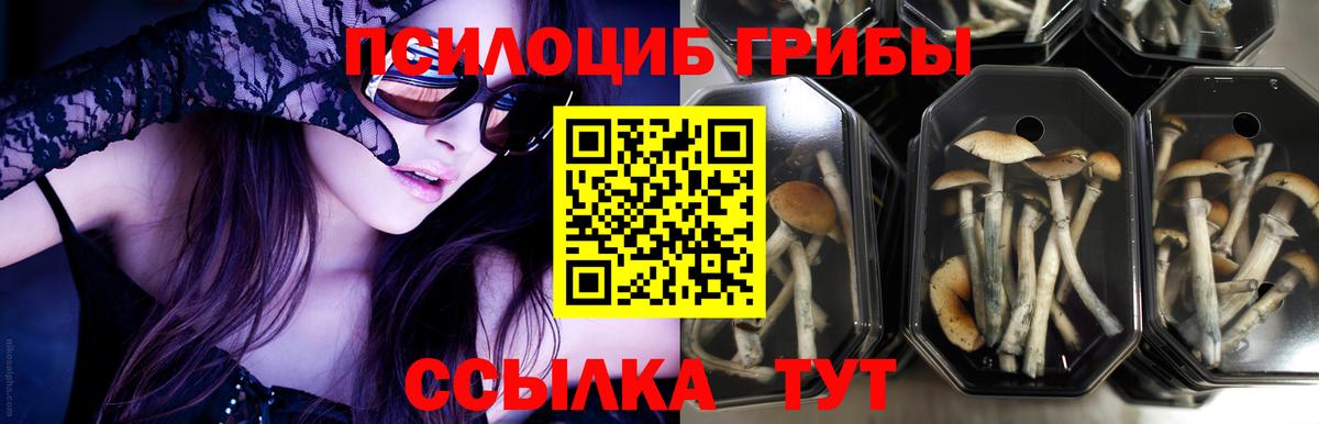 Codein  Альфа ПВП СК   Меф кристаллы  Усть-Лабинск  Лсд 25  Марихуана  Cocaine  Гашиш  Гашиш  МЕТАМФЕТАМИН 